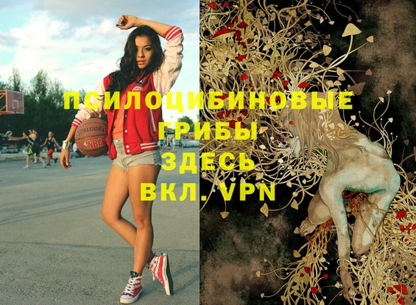 дживик Алексеевка